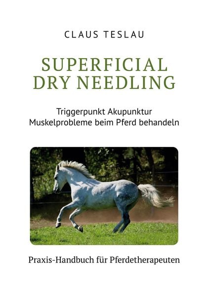 Produktbild: Superficial Dry Needling