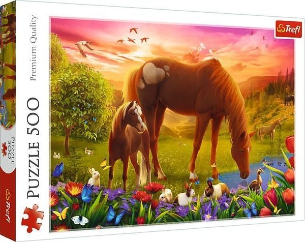 Produktbild: Puzzle 500 Pferde auf der Wiese