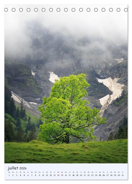 Produktbild: Arbres solitaires (Calendrier de bureau 2026 DIN A5 horizontal), CALVENDO calendrier mensuel