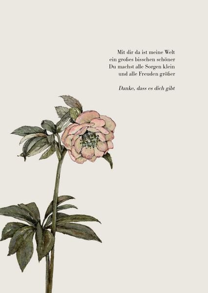 Produktbild: Ich find dich ganz sch&ouml;n wundervoll