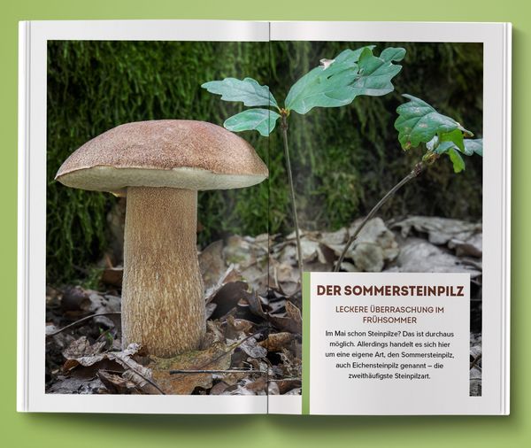 Produktbild: Unbekannte Leckereien: 30 Pilzarten, deren Geschmack dich &uuml;berraschen wird