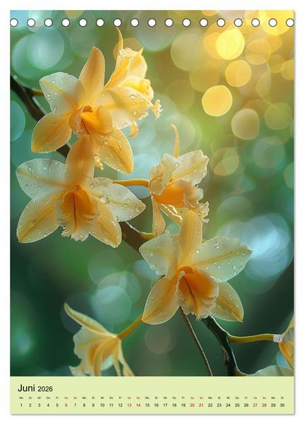 Produktbild: Orchideen Poesie (Tischkalender 2026 DIN A5 hoch), CALVENDO Monatskalender