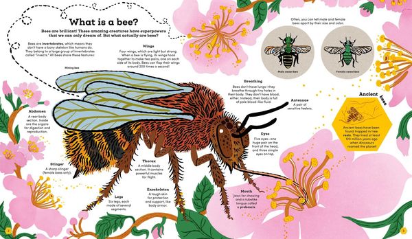 Produktbild: Think Big: Secrets of Bees