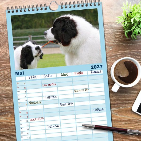 Produktbild: Familienplaner 2027 - Landseer - Das Wasser ist ihr Element mit 5 Spalten (Wandkalender, 21 x 45 cm) CALVENDO