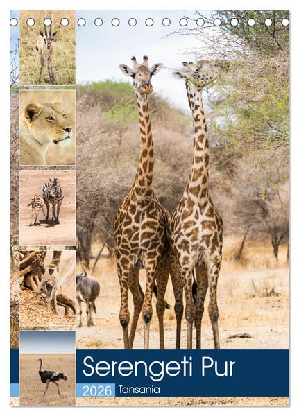 Produktbild: Serengeti Pur - Tansania (Tischkalender 2026 DIN A5 hoch), CALVENDO Monatskalender