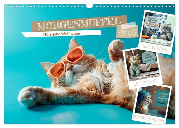 Produktbild: MORGENMUFFEL M&uuml;rrische Weisheiten (Wandkalender 2026 DIN A3 quer), CALVENDO Monatskalender