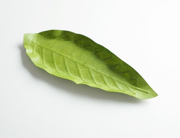 Produktbild: Flexible Hanji-Papierschale Blatt Gr&uuml;n &ndash; Ablage / Servierschale aus koreanischem Hanji-