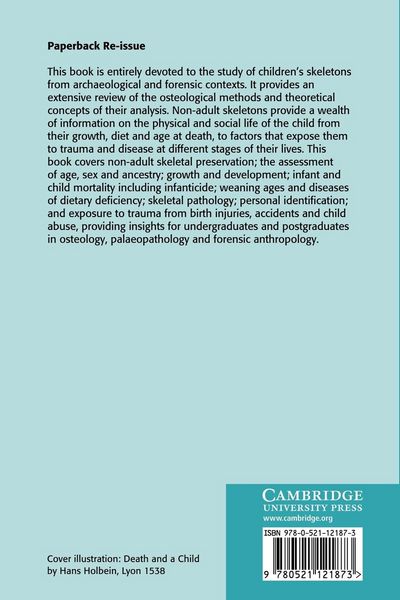 Produktbild: The Bioarchaeology of Children