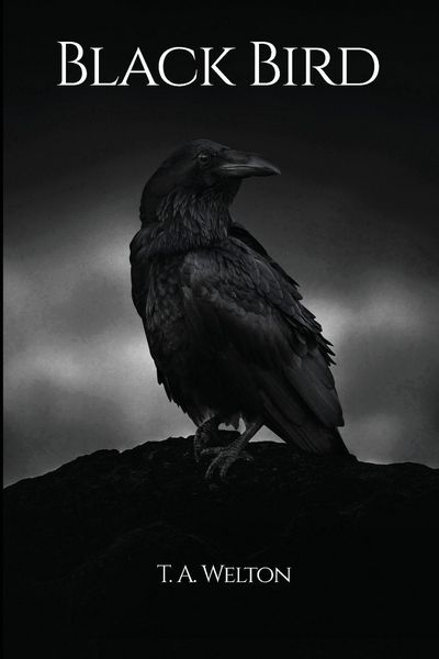 Produktbild: Black Bird