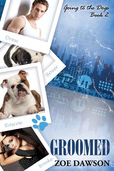 Produktbild: Groomed