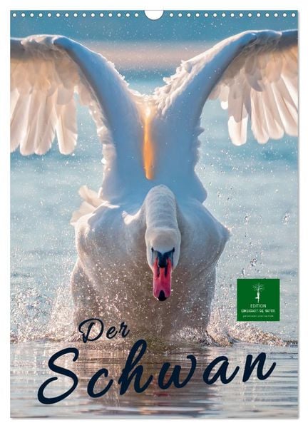 Produktbild: Der Schwan (Wandkalender 2026 DIN A3 hoch), CALVENDO Monatskalender