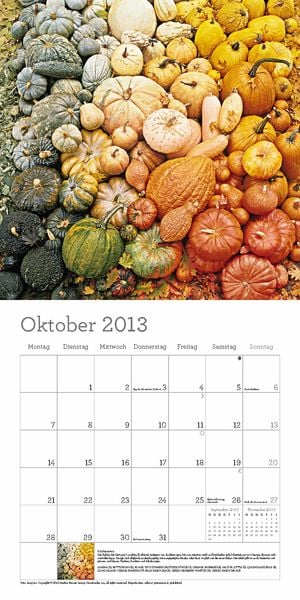 Produktbild: Martha Stewart's K&uuml;chenlatein, Brosch&uuml;renkalender 2013