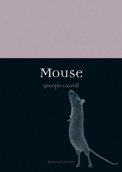 Produktbild: Mouse