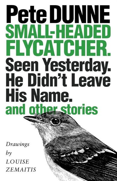 Produktbild: Small-headed Flycatcher. Seen Yesterday. He Didn't Leave His Name.