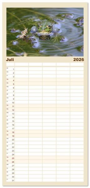 Produktbild: Familienplaner 2026 - Frosch Karl, Hans und Max im Einklang der Natur mit 5 Spalten (Wandkalender, 21 x 45 cm) CALVENDO
