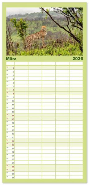 Produktbild: Familienplaner 2026 - S&uuml;dafrika - Landschaft voller Vielfalt und Sch&ouml;nheit mit 5 Spalten (Wandkalender, 21 x 45 cm) CALVENDO