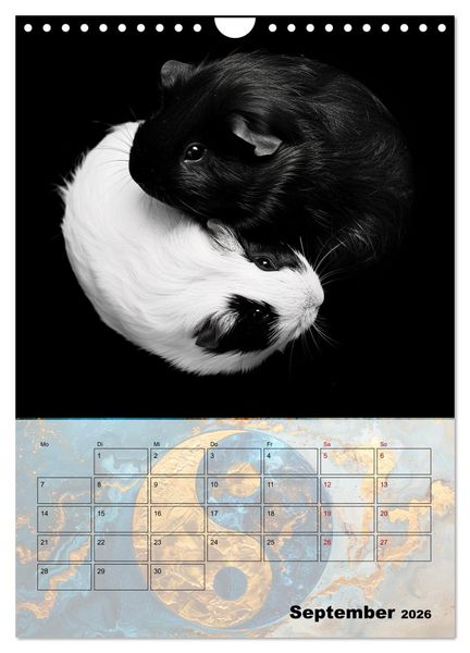 Produktbild: Sei das Yin zu meinem Yang (Wandkalender 2026 DIN A4 hoch), CALVENDO Monatskalender