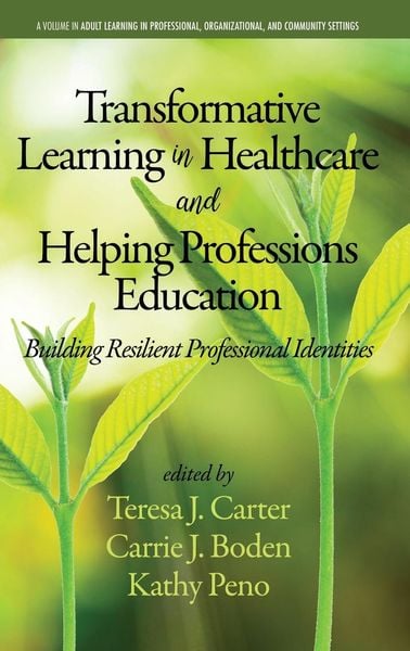 Produktbild: Transformative Learning in Healthcare and Helping Professions Education