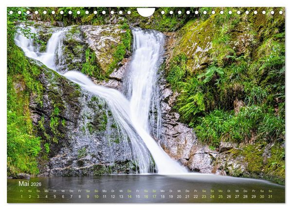 Produktbild: Idyllische Wasserwelten (Wandkalender 2026 DIN A4 quer), CALVENDO Monatskalender