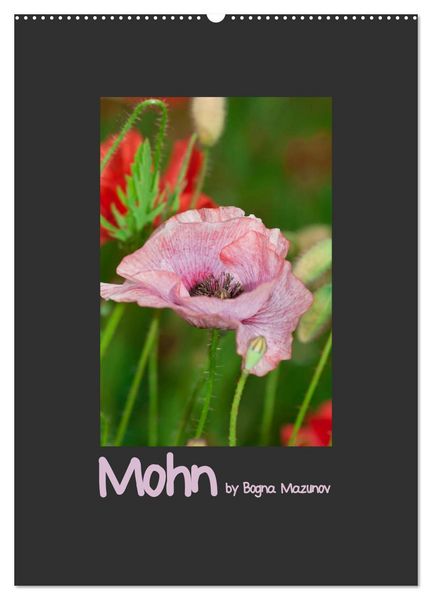 Produktbild: Mohn (Wandkalender 2026 DIN A2 hoch), CALVENDO Monatskalender