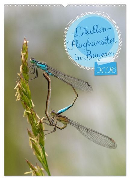 Produktbild: Libellen - Flugk&uuml;nstler in Bayern (Wandkalender 2026 DIN A2 hoch), CALVENDO Monatskalender