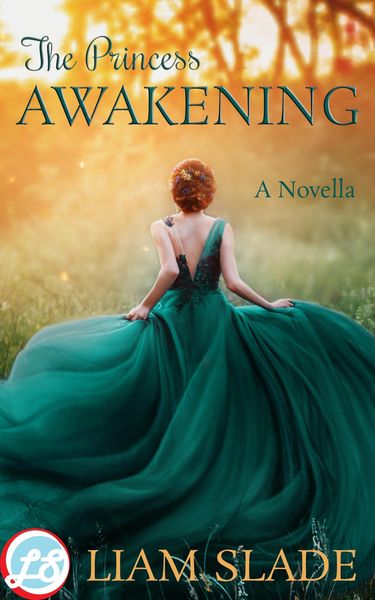 Produktbild: The Princess Awakening: A Novella