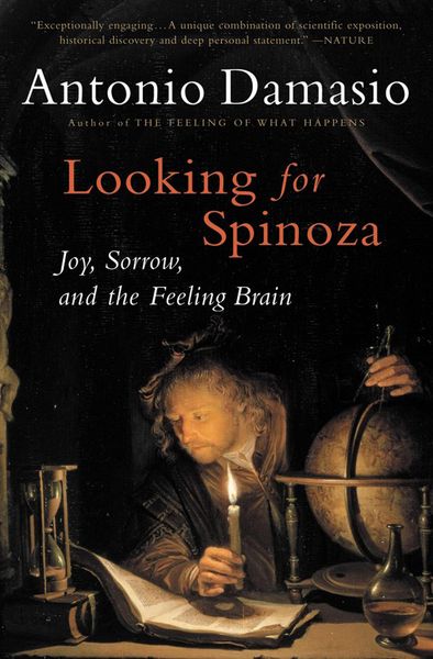 Produktbild: Looking for Spinoza