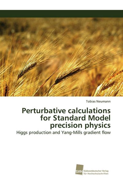 Produktbild: Perturbative calculations for Standard Model precision physics