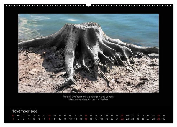 Produktbild: Freundschaft (Wandkalender 2026 DIN A2 quer), CALVENDO Monatskalender