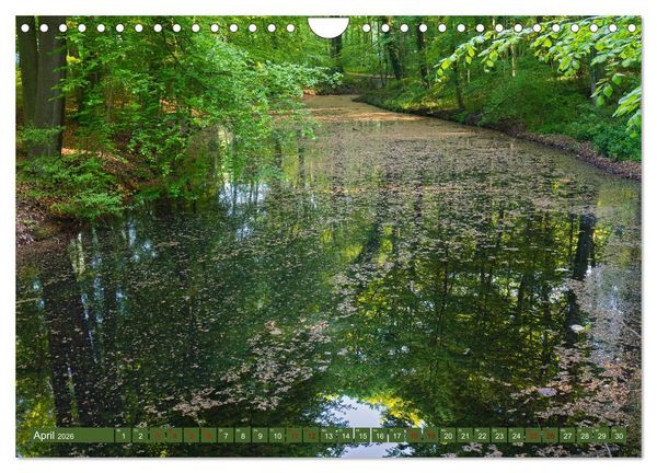 Produktbild: Das Steinfurter Bagno im Wandel der Jahreszeiten (Wandkalender 2026 DIN A4 quer), CALVENDO Monatskalender