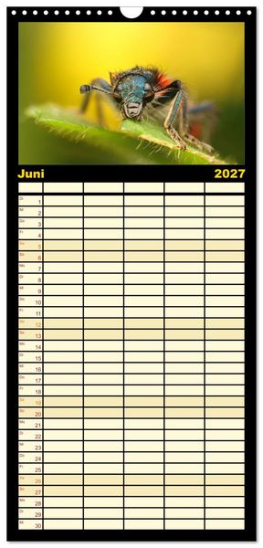 Produktbild: Familienplaner 2027 - Verborgene Wunder mit 5 Spalten (Wandkalender, 21 x 45 cm) CALVENDO