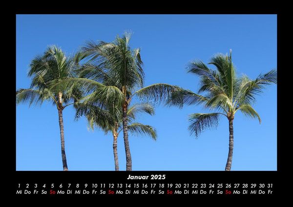 Produktbild: Pflanzen und Bl&uuml;ten 2025 Fotokalender DIN A3