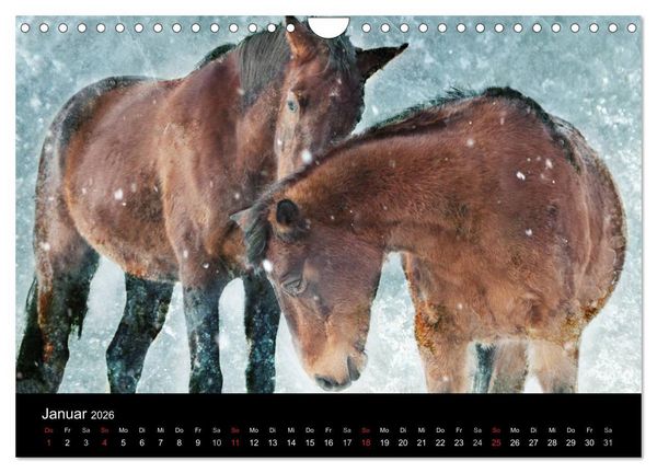 Produktbild: Pferde zum Tr&auml;umen (Wandkalender 2026 DIN A4 quer), CALVENDO Monatskalender
