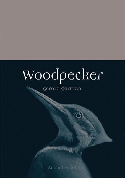 Produktbild: Woodpecker
