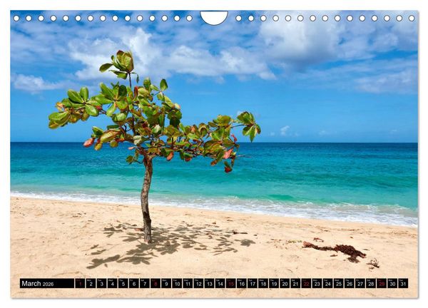 Produktbild: The Caribbean - St. Lucia, The Grenadines and Grenada (Wall Calendar 2026 DIN A4 landscape), CALVENDO 12 Month Wall Calendar