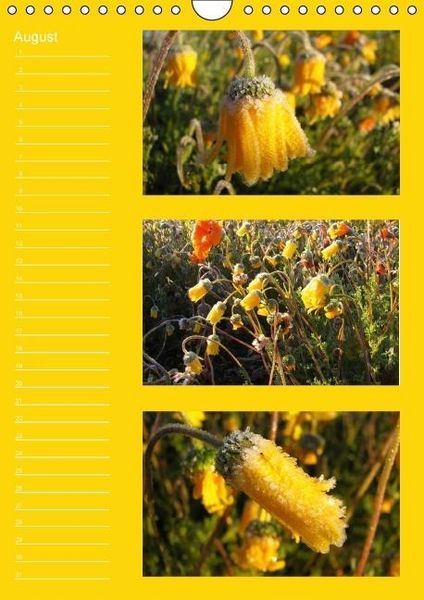Produktbild: Zauberwelt der Blumen - Eiskristalle & Wasserperlen / Geburtstagskalender (Wandkalender immerw&auml;hrend DIN A4 hoch)