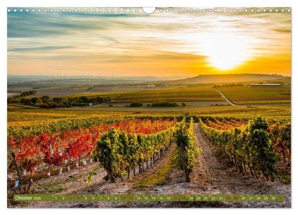 Produktbild: Rheinhessen-Impressionen (Wandkalender 2026 DIN A3 quer), CALVENDO Monatskalender