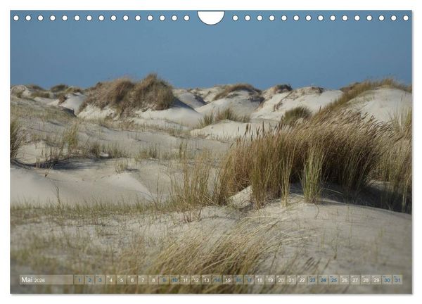 Produktbild: Texel. Neue D&uuml;nen (Wandkalender 2026 DIN A4 quer), CALVENDO Monatskalender