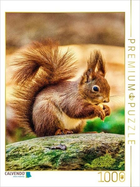 Produktbild: CALVENDO Puzzle Die dunklen, gl&auml;nzenden Augen des Eichh&ouml;rnchens sind aufmerksam auf sein Futter gerichtet, w&auml;hrend seine kleinen Ohren mit feinen Haarb&uuml;scheln spitz in die Luft ragen. | 1000 Teile Lege-Gr&ouml;&szlig;e 64x48cm Foto-Puzzle f&uuml;r gl&uuml;ckliche Stunden
