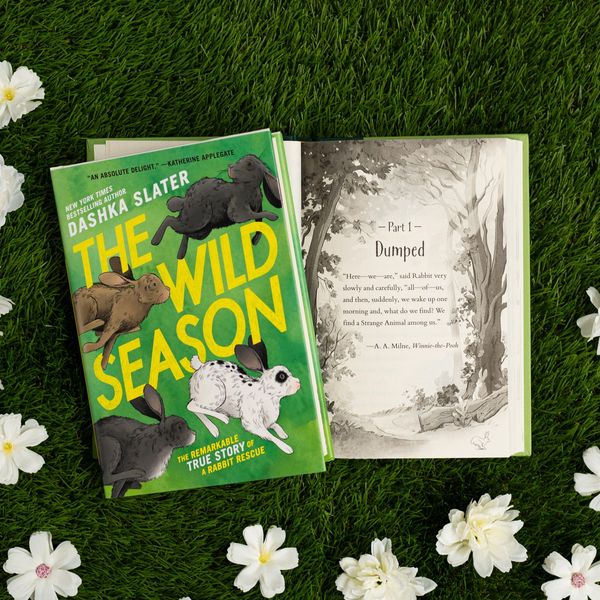 Produktbild: The Wild Season