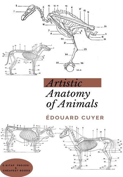 Produktbild: Artistic Anatomy Of Animals