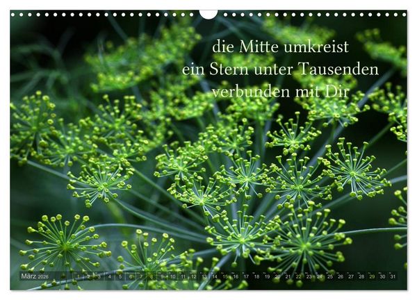 Produktbild: Haiku - Gedichte in 17 Silben (Wandkalender 2026 DIN A3 quer), CALVENDO Monatskalender