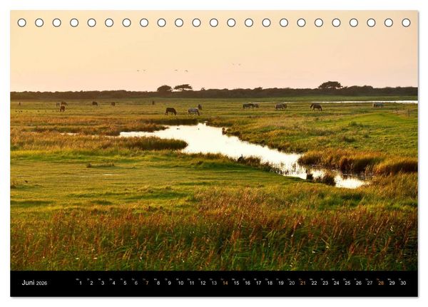 Produktbild: Sehnsucht Hiddensee 2026 (Tischkalender 2026 DIN A5 quer), CALVENDO Monatskalender