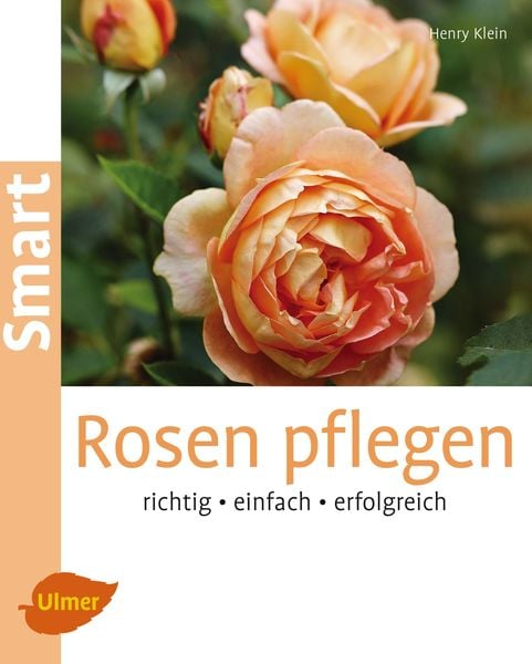 Rosen pflegen, Taschenbuch von Henry Klein, Verlag Eugen Ulmer, 9783800103102