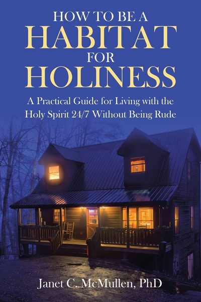 Produktbild: How To Be a Habitat For Holiness