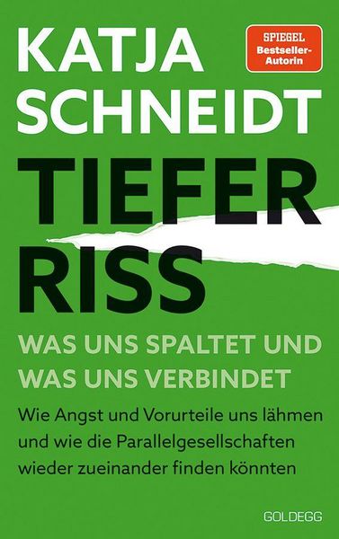 Produktbild: Tiefer Riss - Was uns spaltet und was uns verbindet