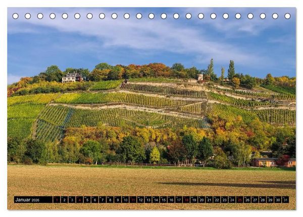 Produktbild: Saale-Unstrut - Region aus Wein und Stein (Tischkalender 2026 DIN A5 quer), CALVENDO Monatskalender