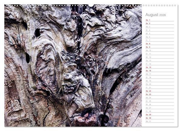 Produktbild: Abstrakte Umwelt (Wandkalender 2026 DIN A2 quer), CALVENDO Monatskalender