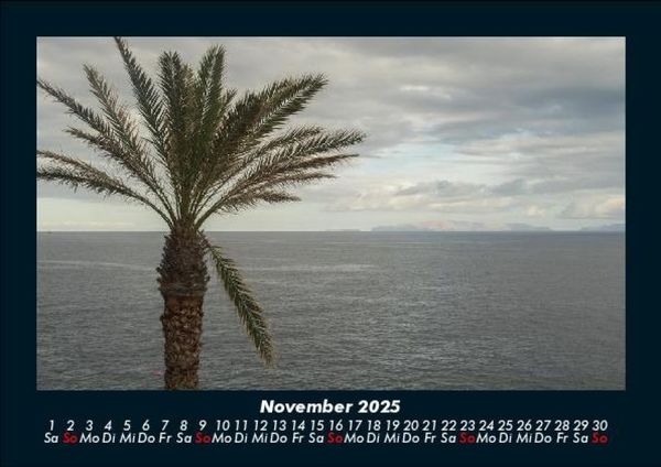 Produktbild: B&auml;ume 2025 Fotokalender DIN A5