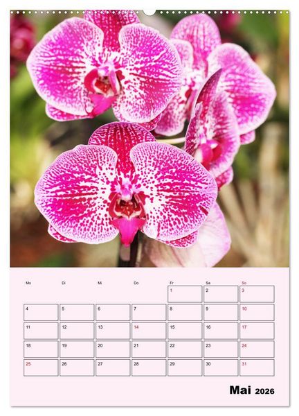 Produktbild: Orchideenliebe (hochwertiger Premium Wandkalender 2026 DIN A2 hoch), Kunstdruck in Hochglanz